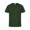 Vert foncé