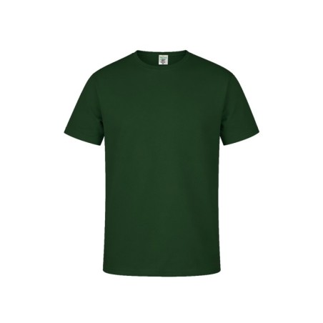 Vert foncé