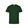 Vert foncé