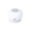 Rariax