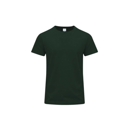 Vert foncé