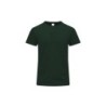 Vert foncé