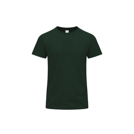 Vert foncé