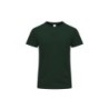 Vert foncé