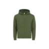 Vert foncé