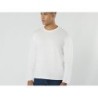 Plint