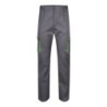 Gris / Vert