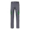 Gris / Vert