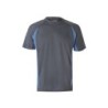 Gris / Bleu clair