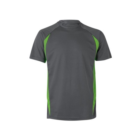 Gris / Vert
