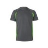 Gris / Vert