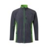 Gris / Vert