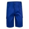 Bleu royal