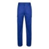 Bleu royal