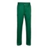 Vert foncé