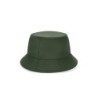 Vert foncé