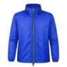 Bleu royal