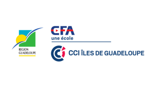 CCI Îles de Guadeloupe
